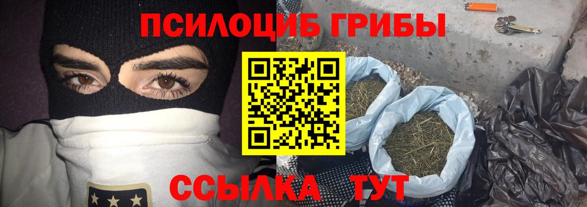 Псилоцибиновые грибы Psilocybe Армавир