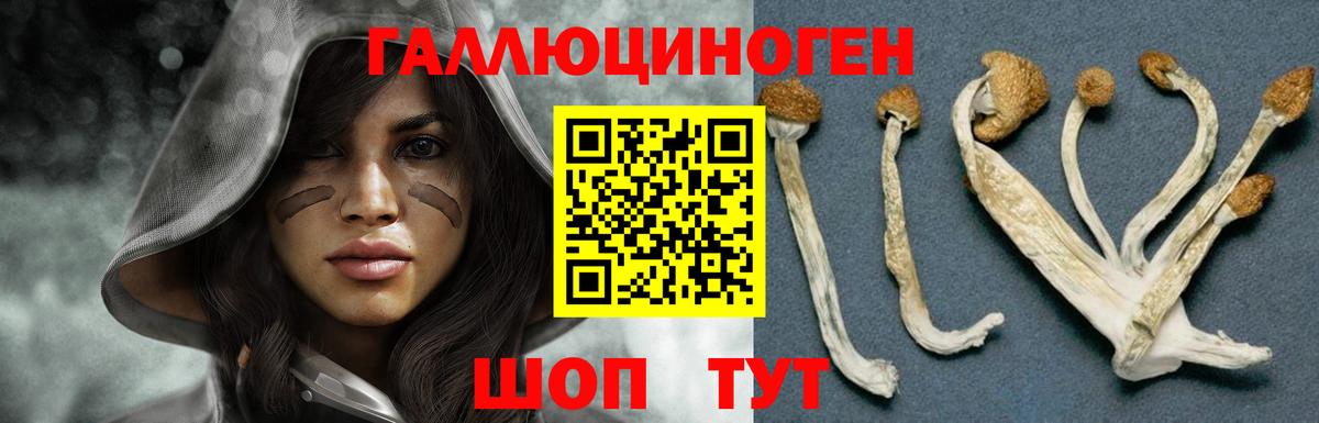 Псилоцибиновые грибы Cubensis  Псилоцибиновые грибы ЛСД  Вход с VPN  Армавир 