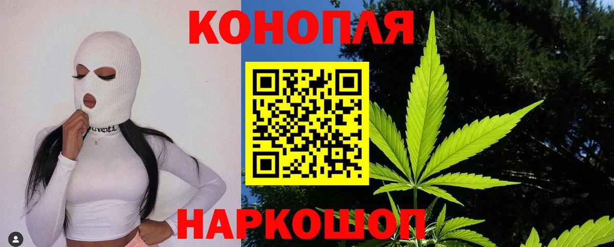 Бошки Шишки планчик  Вход с VPN  Конопля планчик  Армавир 